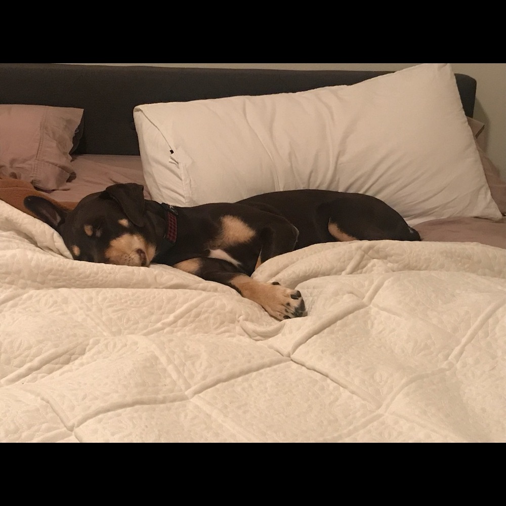 Meet your Posher, Karla